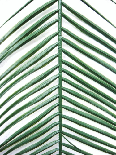 Künstliche Phönix Palmenwedel 130 cm im 5er Pack