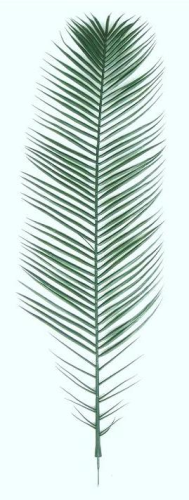 Künstliche Phönix Palmenwedel 150 cm im 6er Pack