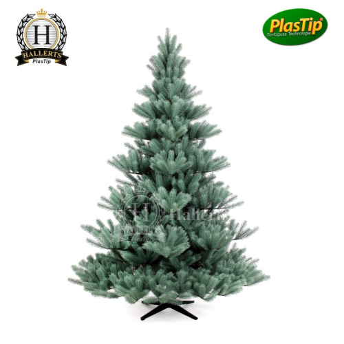 Spritzguss Weihnachtsbaum Blautanne / Silbertanne 200 cm