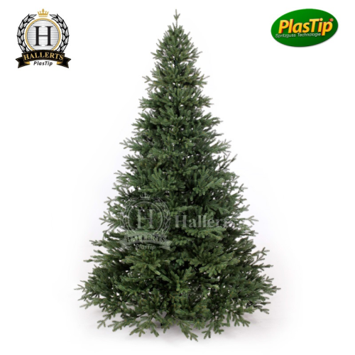 Spritzguss Weihnachtsbaum Nobilistanne Oxburgh 210 cm